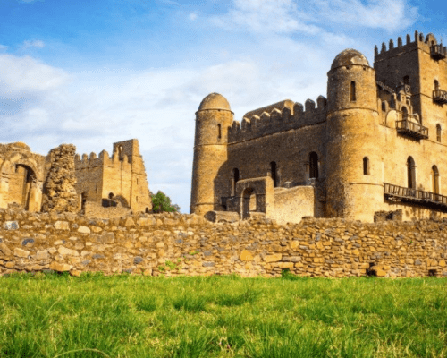 chrome-capture-2025-06-14 (4)